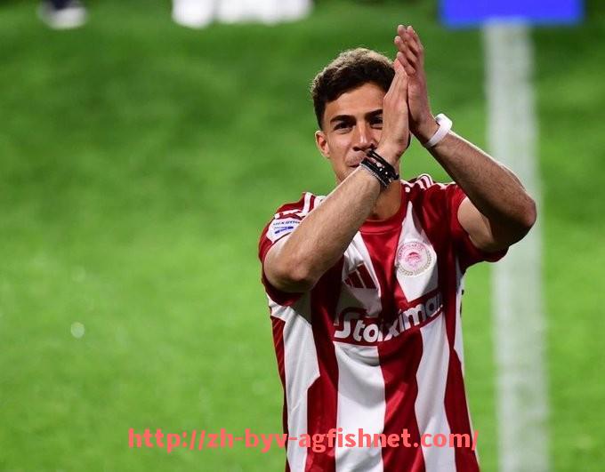 AG捕鱼王官网-英超球员阿里的职业生涯数据与表现