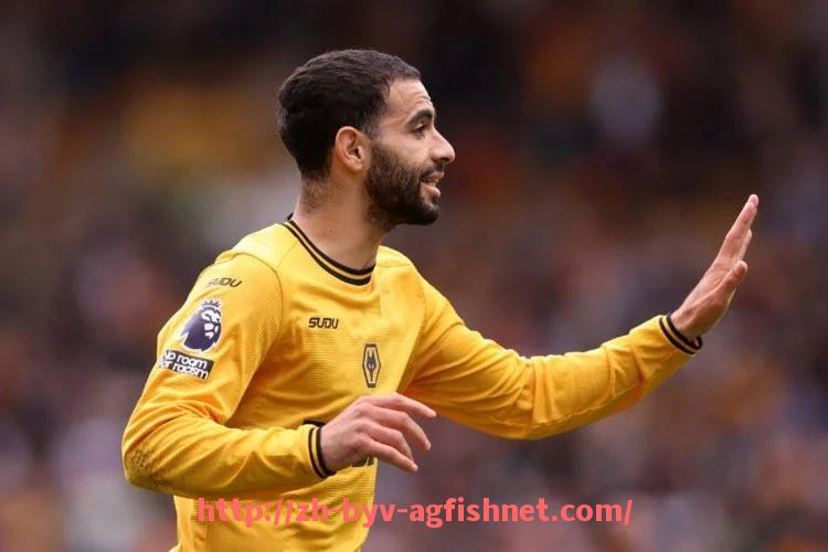 AG捕鱼王官网-谁是目前德甲实力最强的球队？2025赛季综合排名