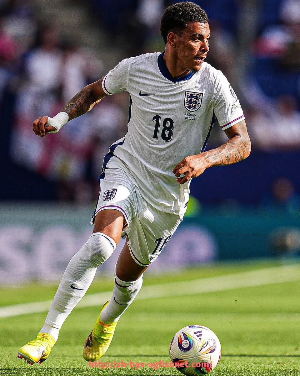 AG捕鱼王官网-世俱杯历届比赛中红黄牌分布与比赛强度的关系探讨