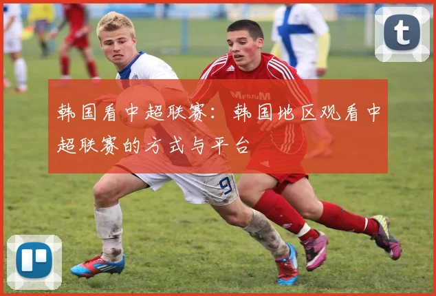 韩国看中超联赛:韩国地区观看中超联赛的方式与平台