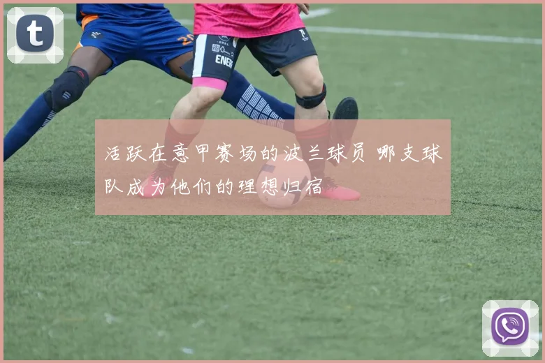 活跃在意甲赛场的波兰球员 哪支球队成为他们的理想归宿