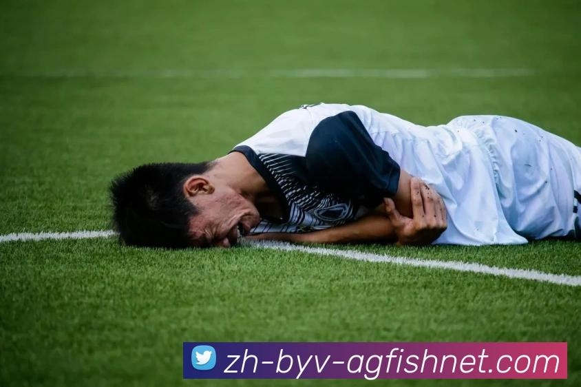 AG捕鱼王官网APP 封面图